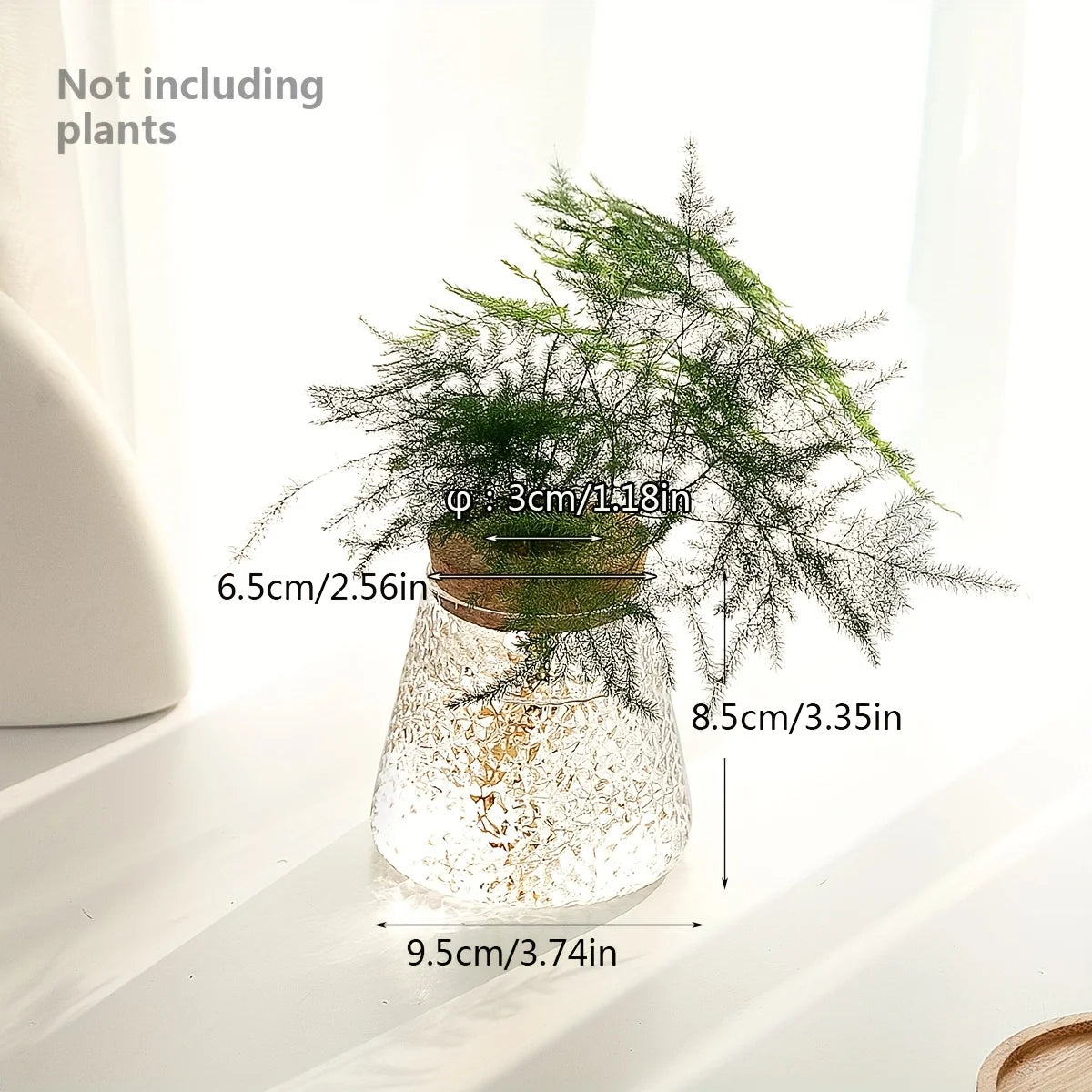 Hydroponic Flower Pot Stand1-2Personal Use Suitable for Office Green Plant Cutting Propagation Bottle Transparent Glass Containe