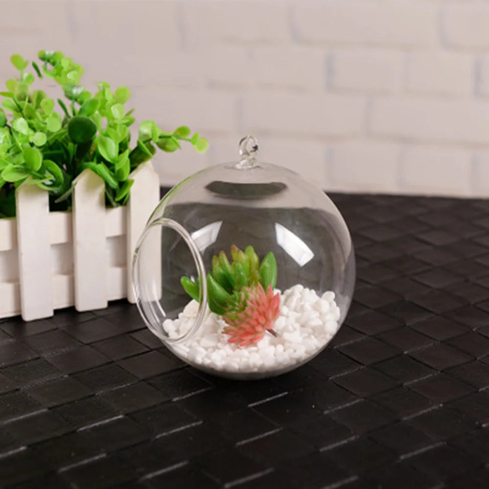 1PC Clear Glass Ball Globe Shape Terrarium Ball Flower Hanging Planter Terrarium Container Landscape Ornament Home Garden Decor