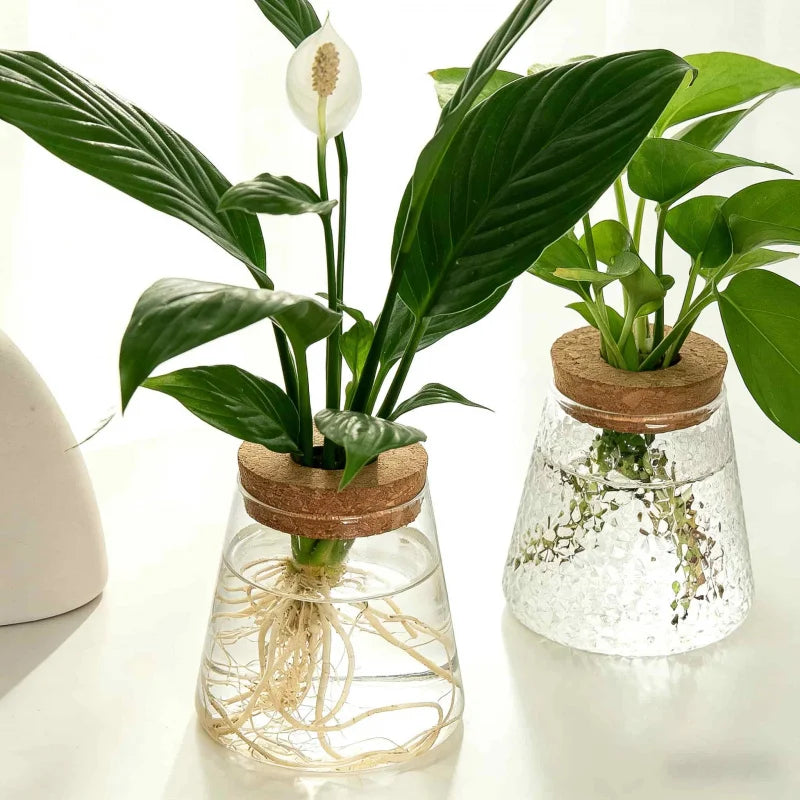 Hydroponic Flower Pot Stand1-2Personal Use Suitable for Office Green Plant Cutting Propagation Bottle Transparent Glass Containe