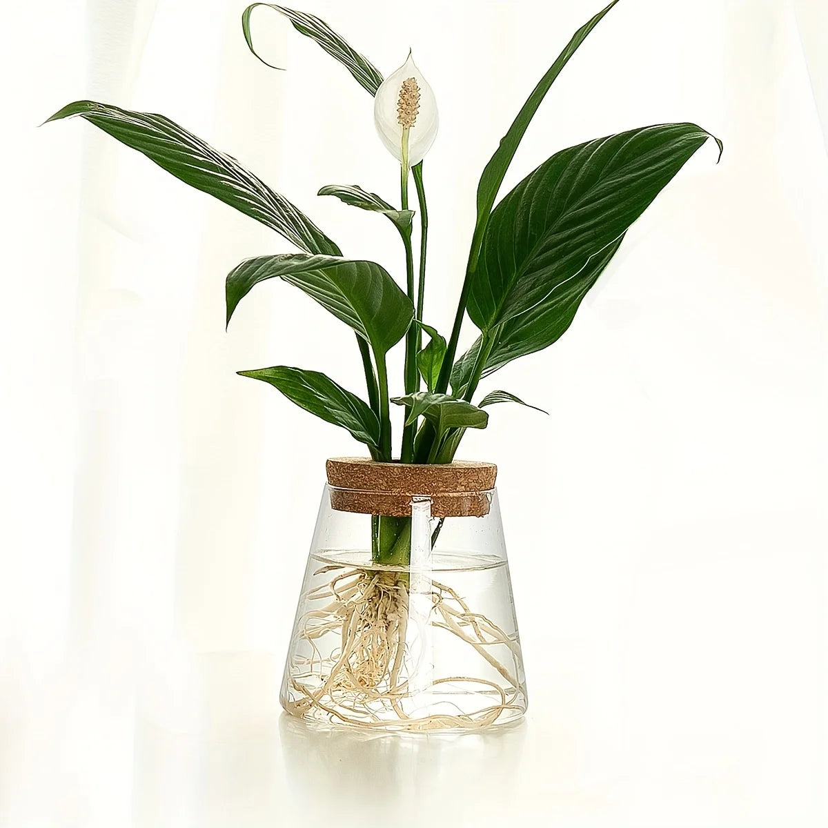 Hydroponic Flower Pot Stand1-2Personal Use Suitable for Office Green Plant Cutting Propagation Bottle Transparent Glass Containe