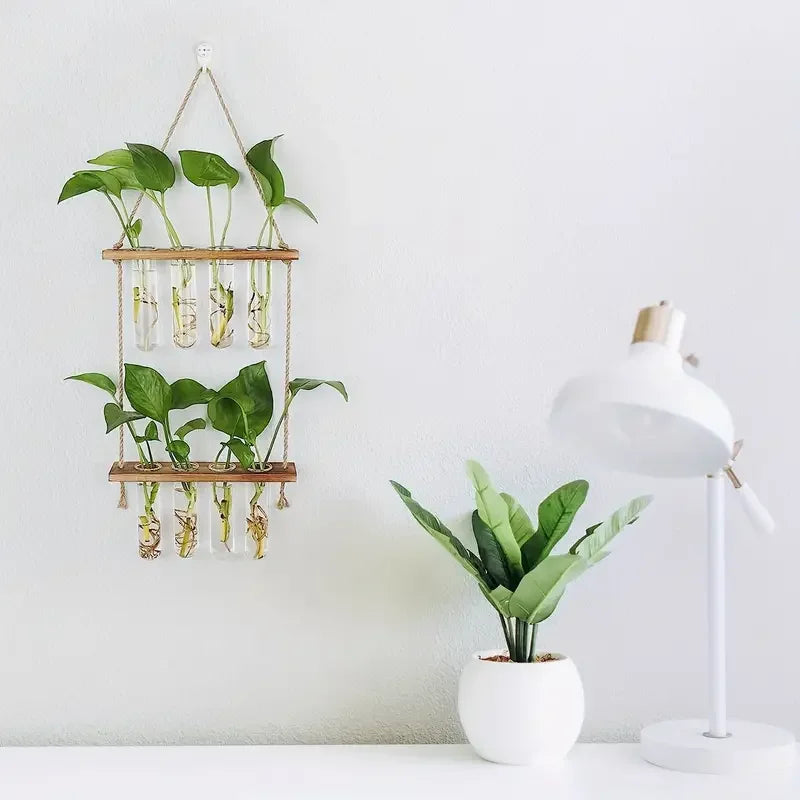 1pc Wall Hanging Propagation Station With Glass Test Tubes 1/2 Tiered Planters Wall Terrarium For Home Office Plant Hanger Flowe