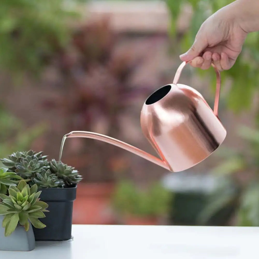500ML Bonsai Plant Flower Watering Can Watering Pot Long Spout Garden Plant Flower Water Can Regadera Plantas Лейка Для Цветов