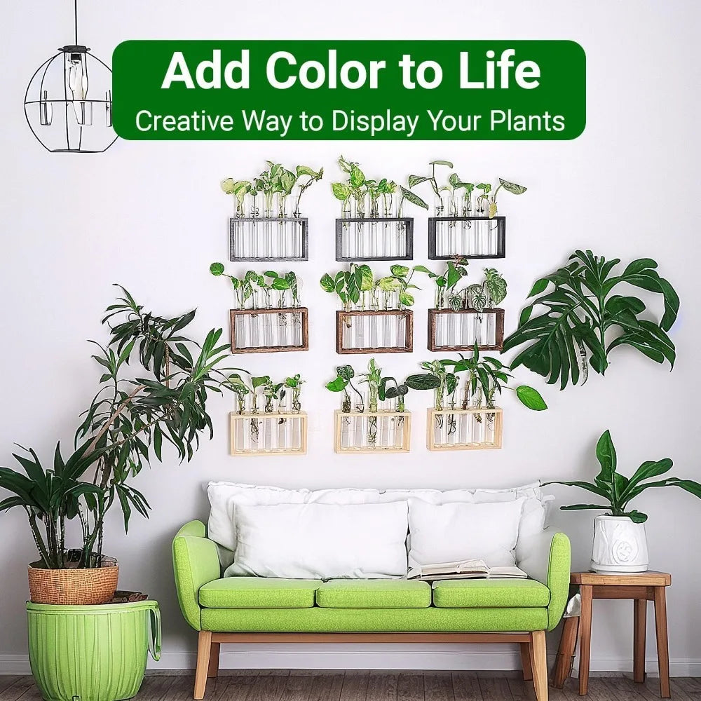 3/5 Tubes Wall Hanging Hydroponic Plant Propagation Glass Vase with Wooden Stand Desktop for Home Office Planter Garde Decor