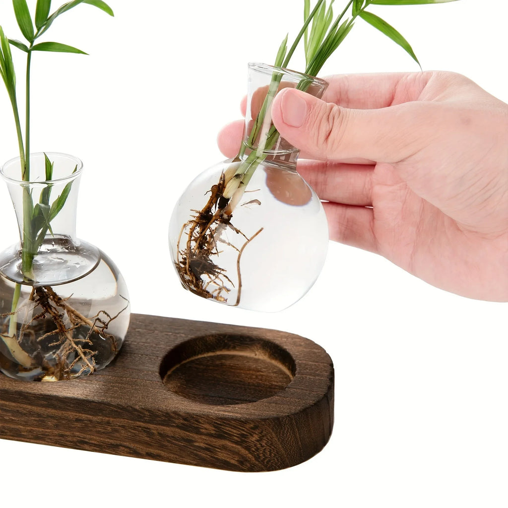 Glass Terrarium for Plants with Wooden Tray – For indoor propagation hydroponic vase，Desktop Home Office Decoration