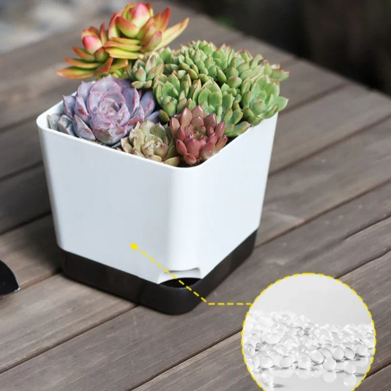 5Pcs Plant Pots, Self Watering Flower Pots Indoor Outdoor, Self Watering Planters with Drainage Hole & Clear Saucer Reservoir