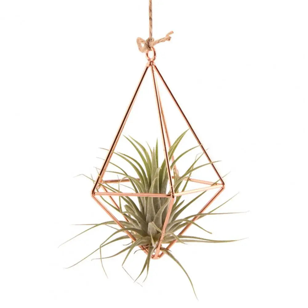 Hollow Flowerpot Propagation Stations Glass Hanging Geometric Plant Iron Stand Air Plant Holder Wedding Home Dinning Room Decor
