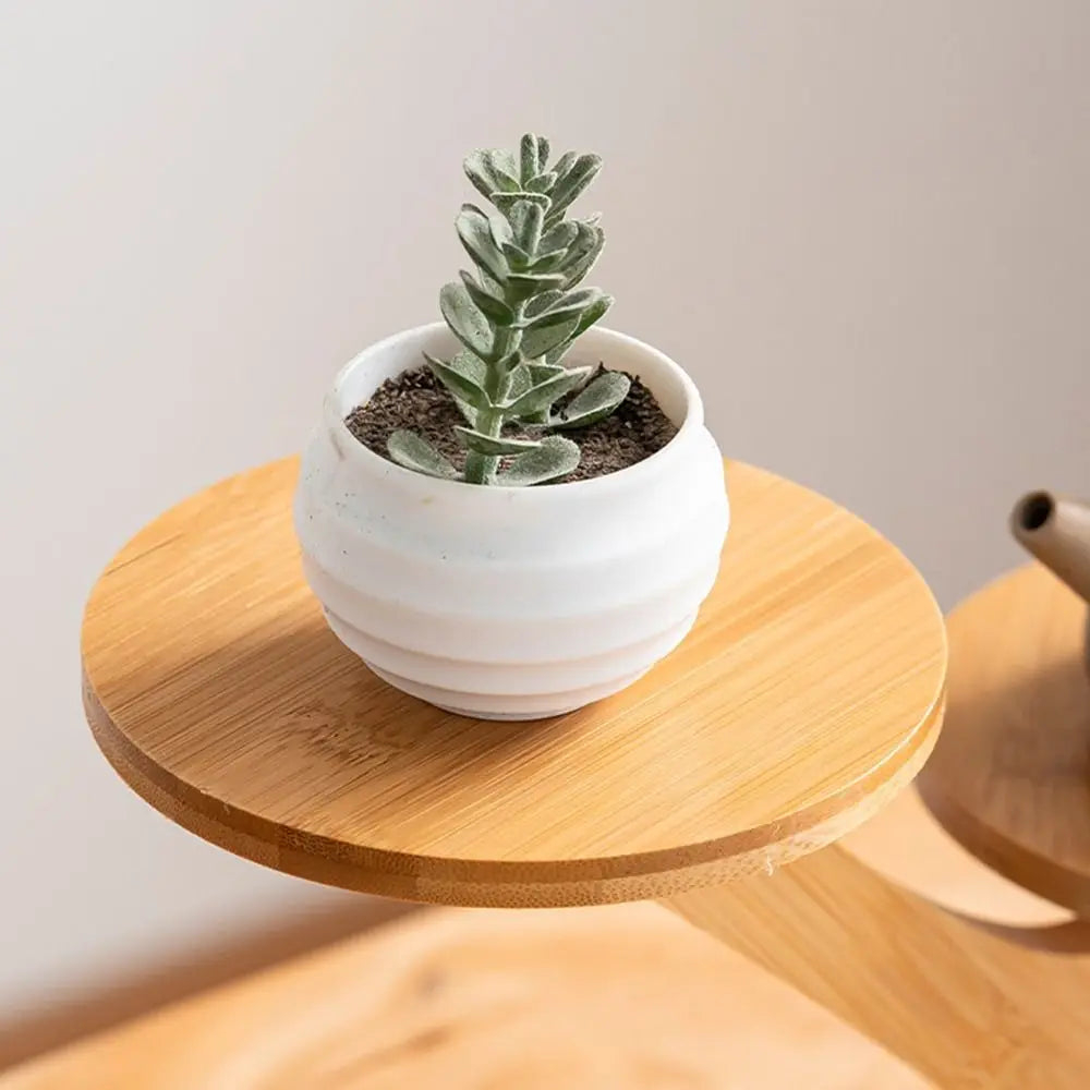 Bamboo Wood Flowerpot Tray Plants Stand Multi-layer Succulents Bonsai Organizer Desktop Ornament Home Decoration