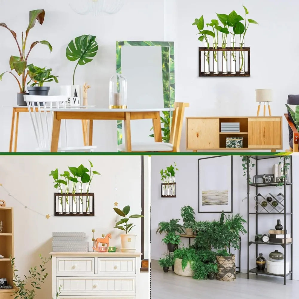 3/5 Tubes Wall Hanging Hydroponic Plant Propagation Glass Vase with Wooden Stand Desktop for Home Office Planter Garde Decor