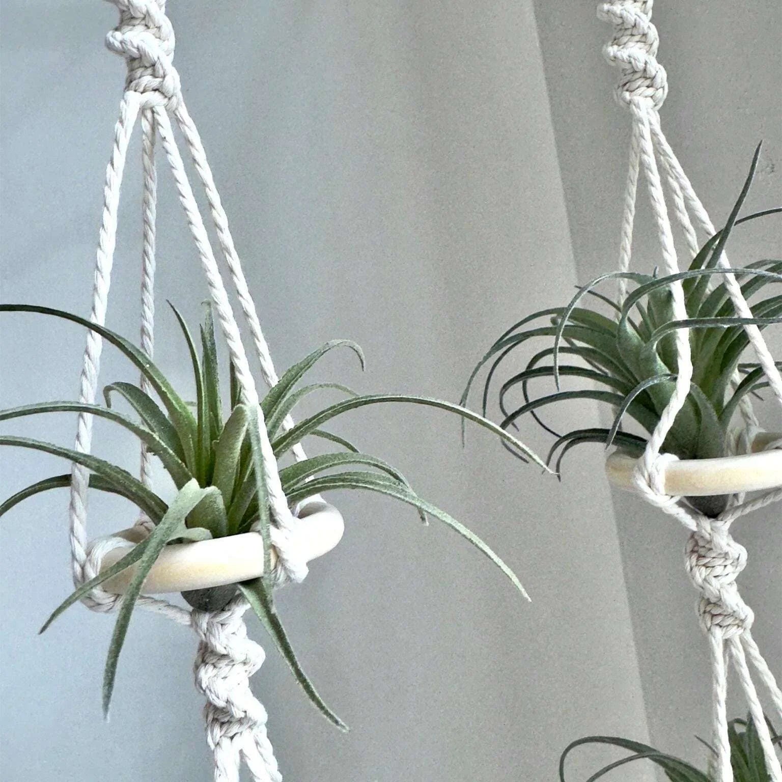 Macrame Plant Hangers Air Plants Hanging Basket Wall Hanging Handcrafted Air Plants Hanger Boho Home Decoration Room Decor Gift