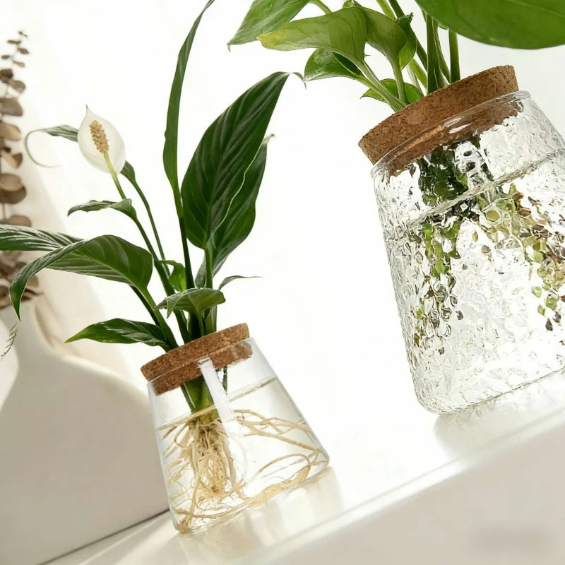 Hydroponic Flower Pot Stand1-2Personal Use Suitable for Office Green Plant Cutting Propagation Bottle Transparent Glass Containe