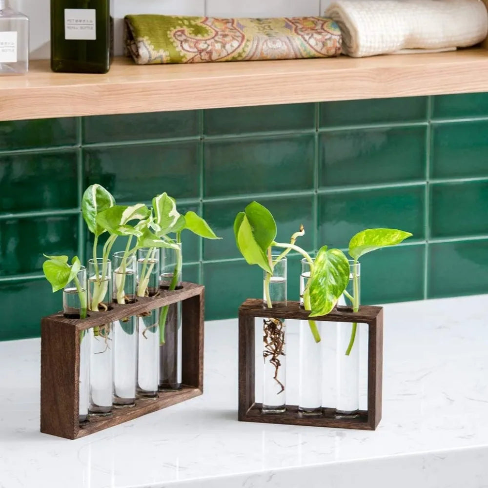 3/5 Tubes Wall Hanging Hydroponic Plant Propagation Glass Vase with Wooden Stand Desktop for Home Office Planter Garde Decor