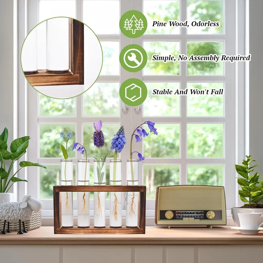 3/5 Tubes Wall Hanging Hydroponic Plant Propagation Glass Vase with Wooden Stand Desktop for Home Office Planter Garde Decor