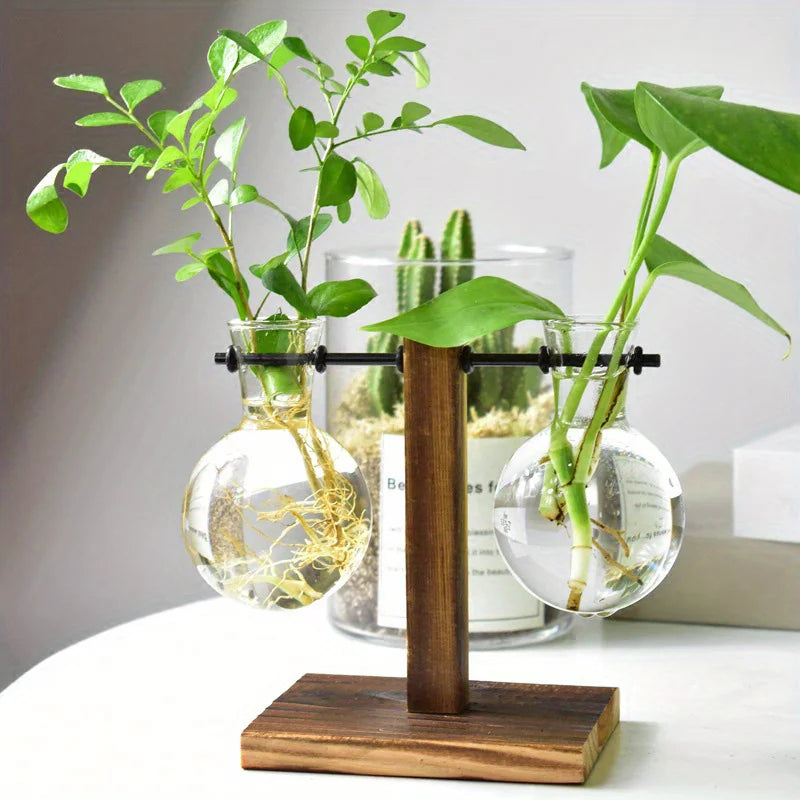 Hydroponic Glass Vase, Vintage Desktop Plant Terrarium Planter Bulb Water Planting Propagation Vase Planters Hydroponics Plants