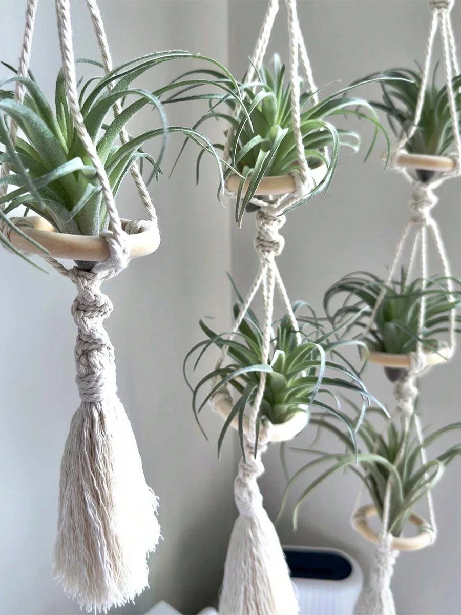 Macrame Plant Hangers Air Plants Hanging Basket Wall Hanging Handcrafted Air Plants Hanger Boho Home Decoration Room Decor Gift