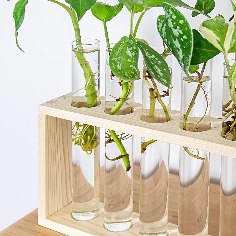 3/5 Tubes Wall Hanging Hydroponic Plant Propagation Glass Vase with Wooden Stand Desktop for Home Office Planter Garde Decor