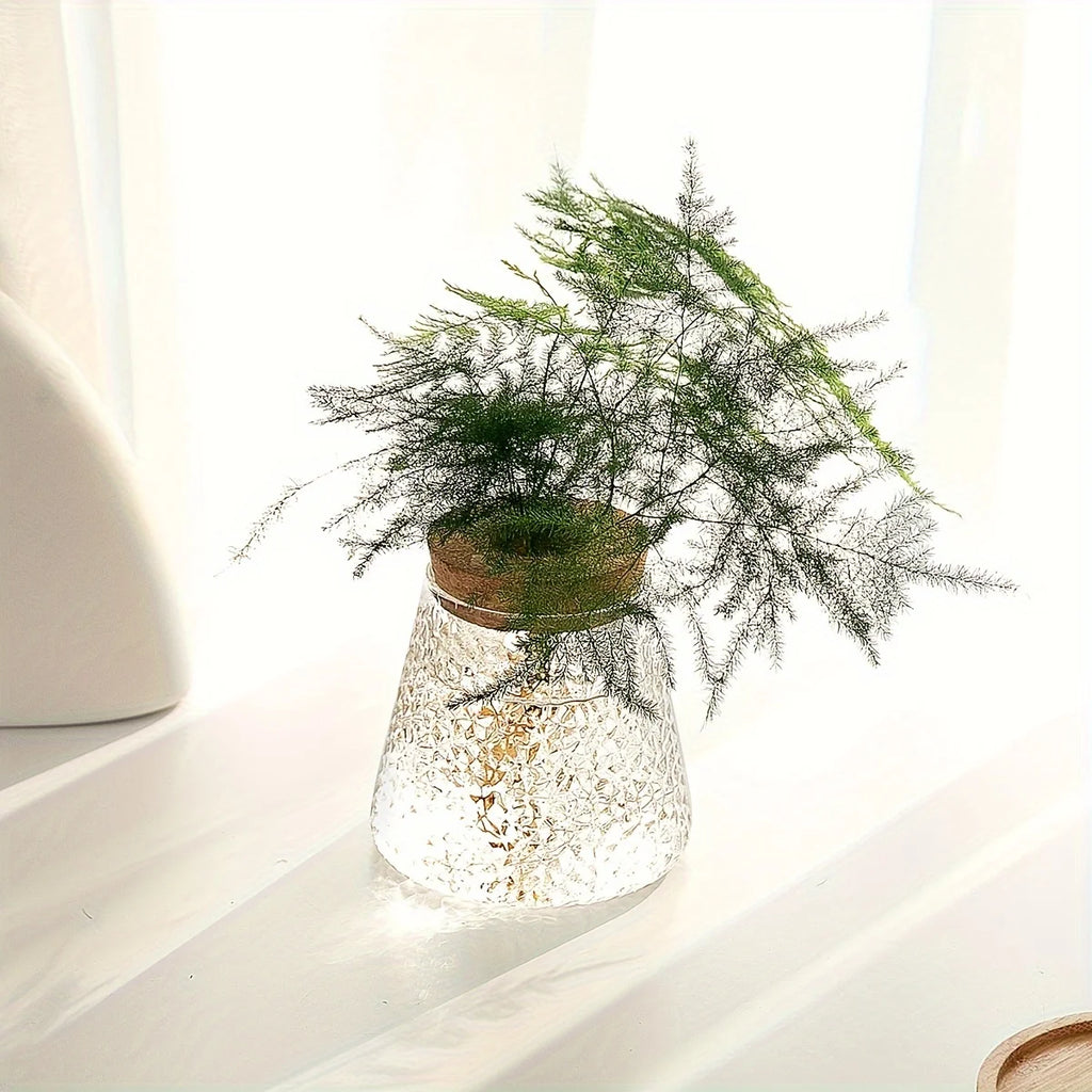 Hydroponic Flower Pot Stand1-2Personal Use Suitable for Office Green Plant Cutting Propagation Bottle Transparent Glass Containe