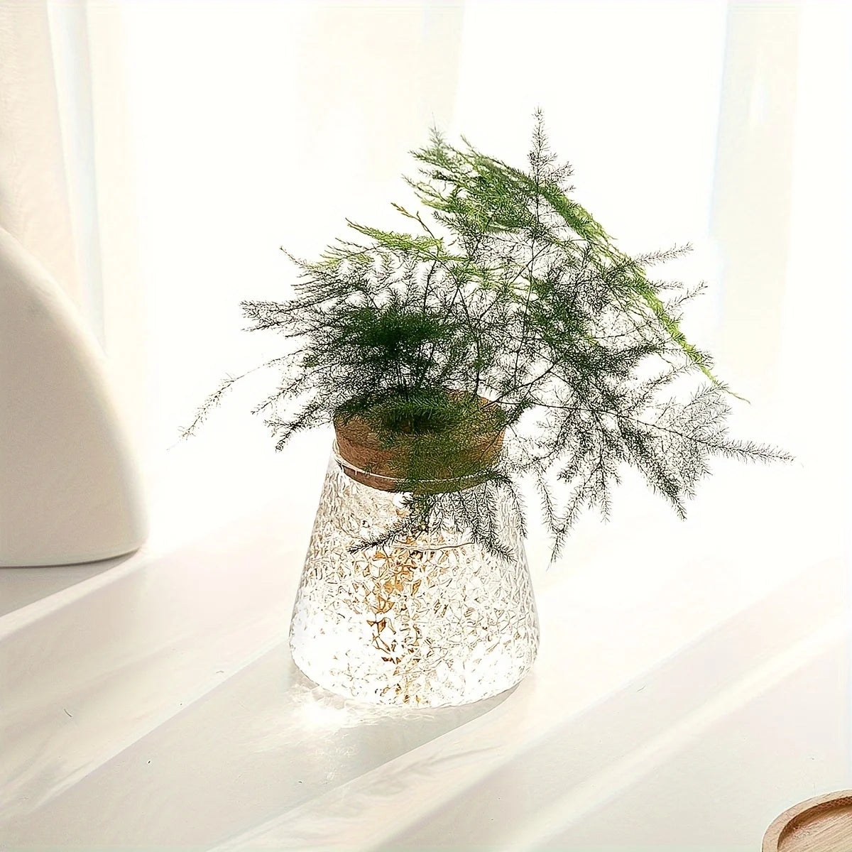 Hydroponic Flower Pot Stand1-2Personal Use Suitable for Office Green Plant Cutting Propagation Bottle Transparent Glass Containe