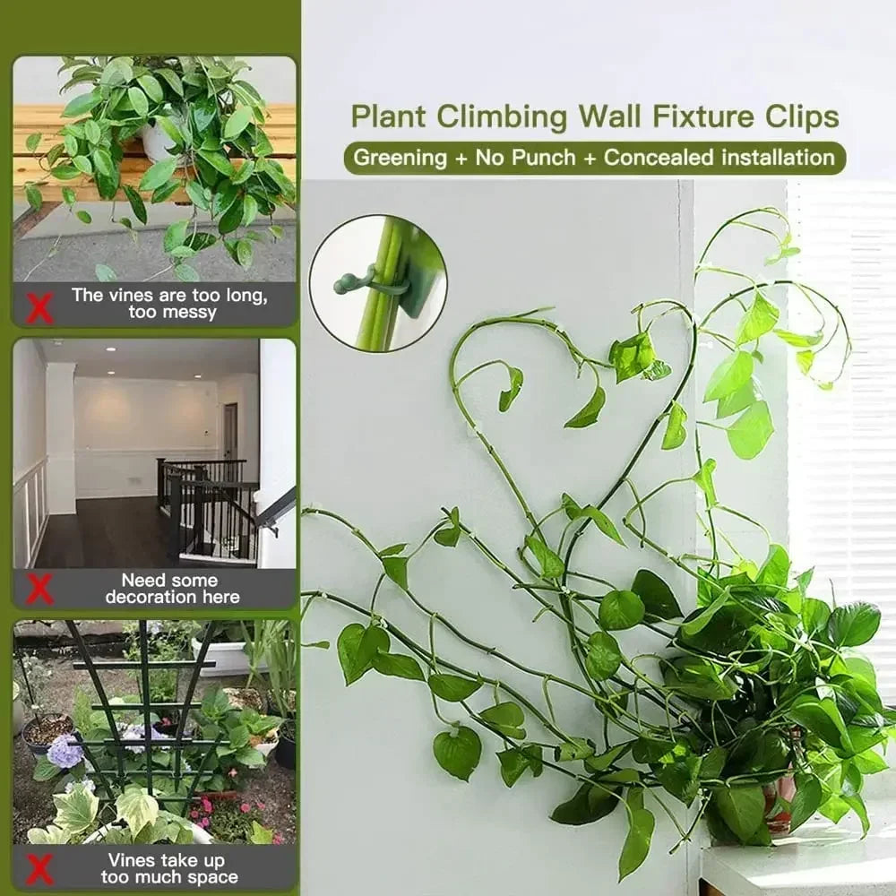 5/10/20/50Pcs Garden Accsesories Plant Garden Pots & Planters Climbing Wall Outdoor Decors Lamp Support for Plants Clip Vine