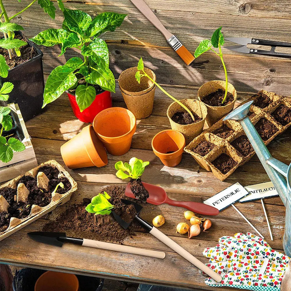 Succulent Plants Tools Mini Garden Hand Tools Transplanting Outdoor Bonsai Gardening Tools Set Succulent Miniature Planting Tool