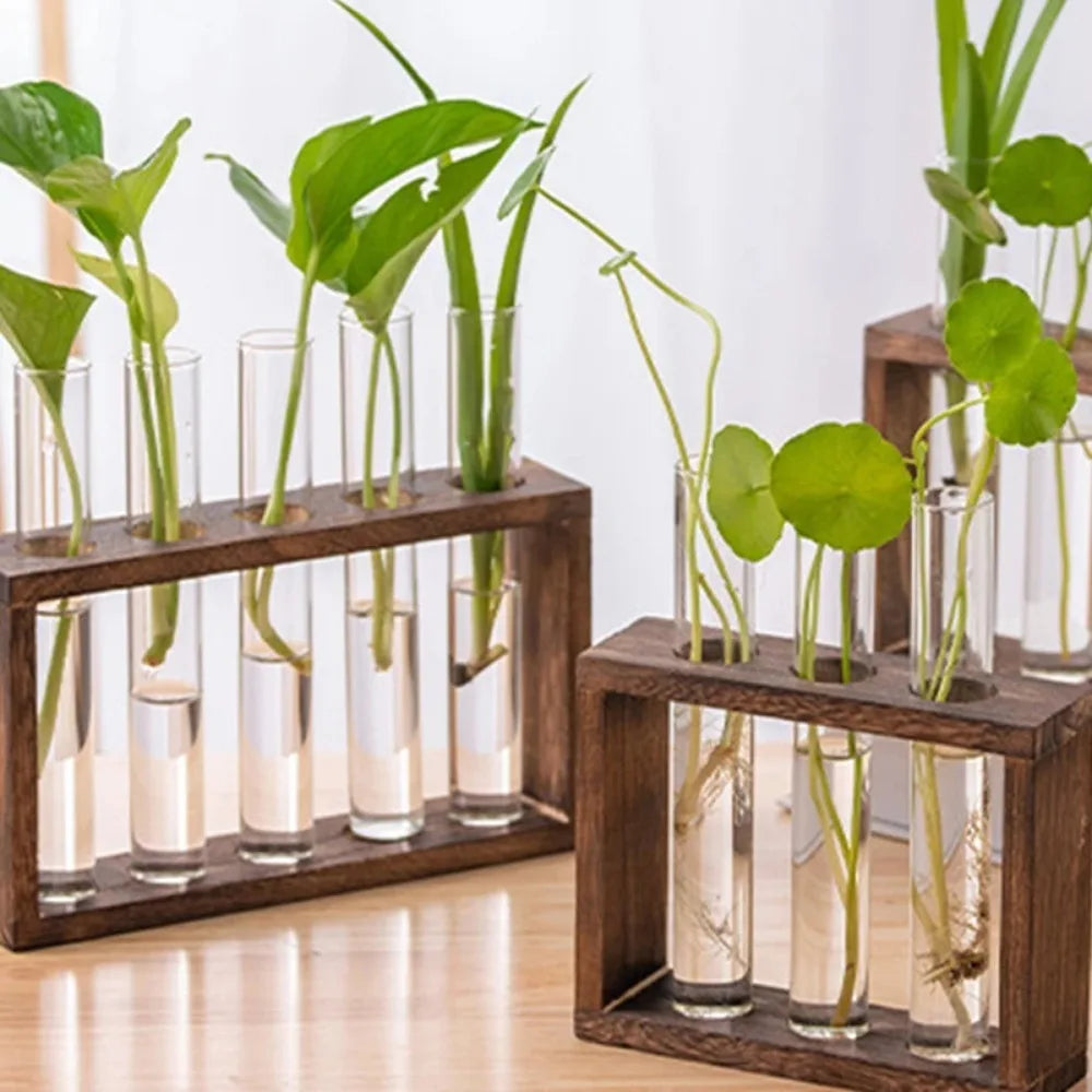 3/5 Tubes Wall Hanging Hydroponic Plant Propagation Glass Vase with Wooden Stand Desktop for Home Office Planter Garde Decor