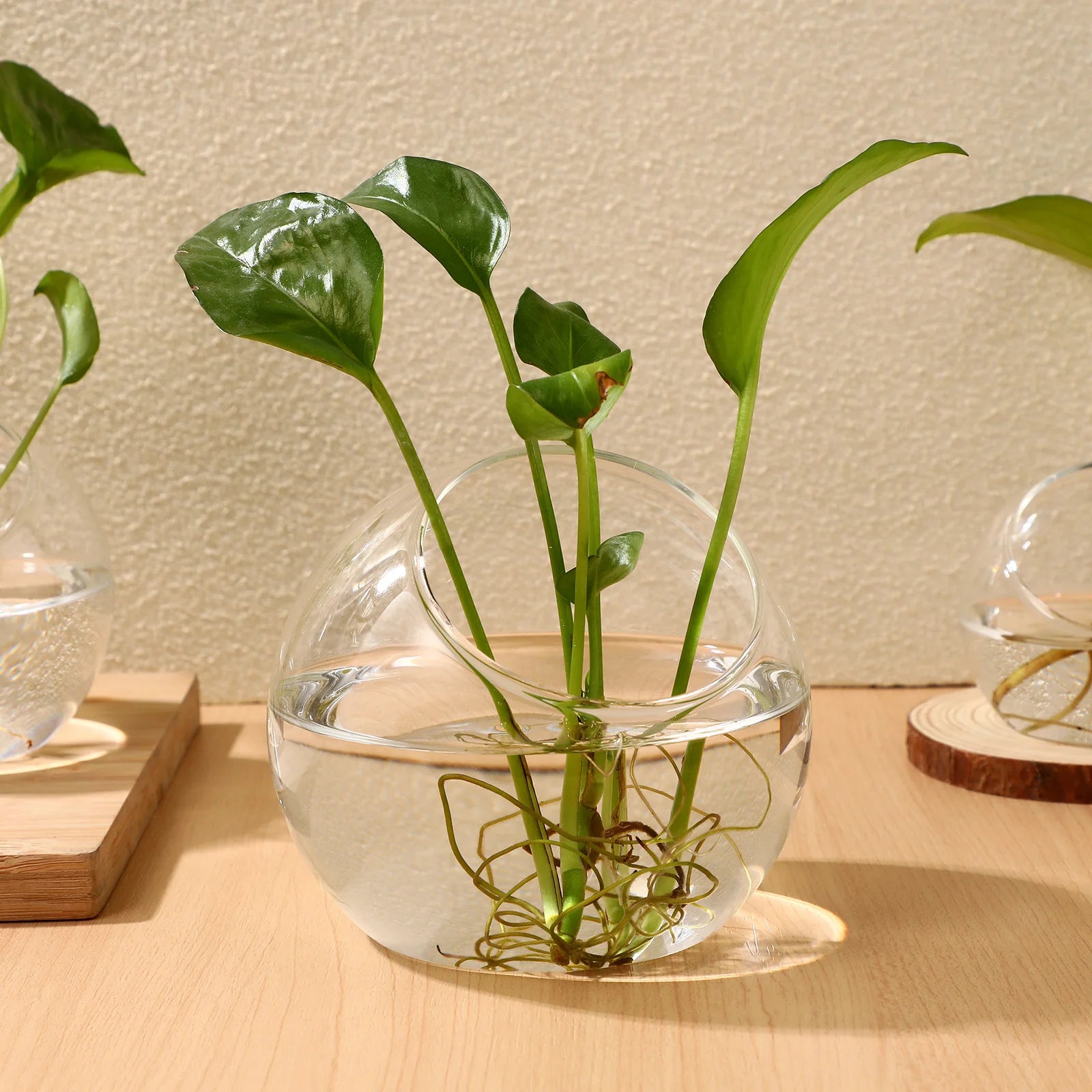 3 Pcs Hydroponic Glass Succulent Terrarium Vase Clear Bowl Air Plant Container Round Jar For Home Office Balcony Garden Decor