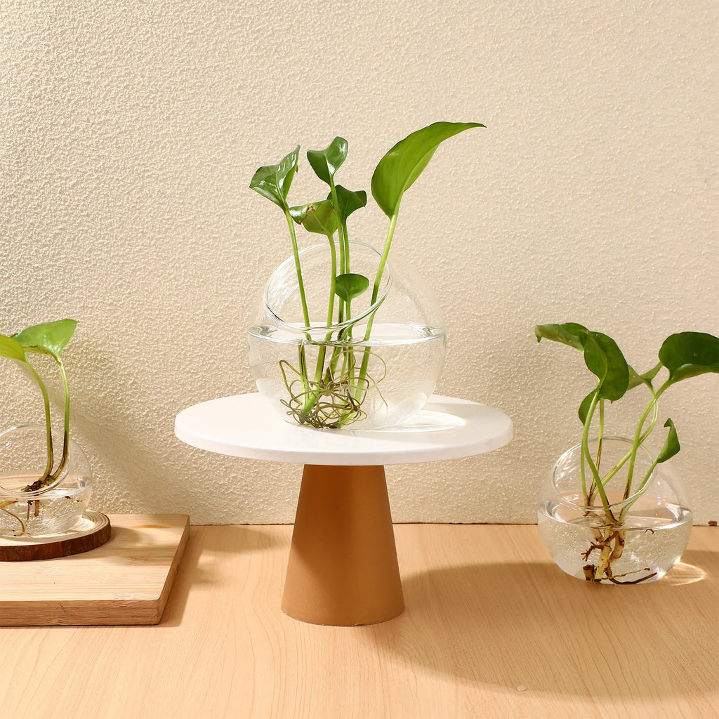 3 Pcs Hydroponic Glass Succulent Terrarium Vase Clear Bowl Air Plant Container Round Jar For Home Office Balcony Garden Decor