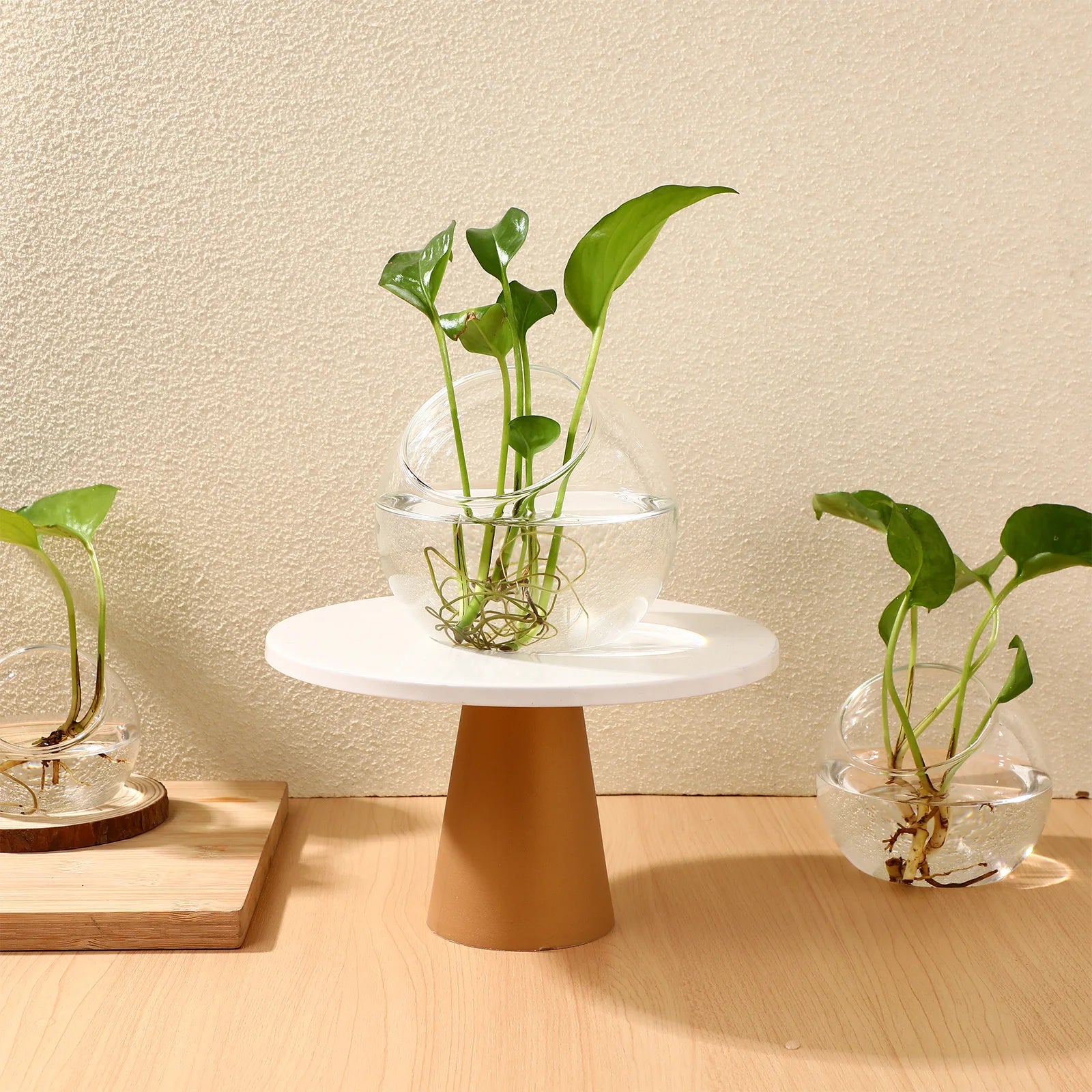 3 Pcs Hydroponic Glass Succulent Terrarium Vase Clear Bowl Air Plant Container Round Jar For Home Office Balcony Garden Decor