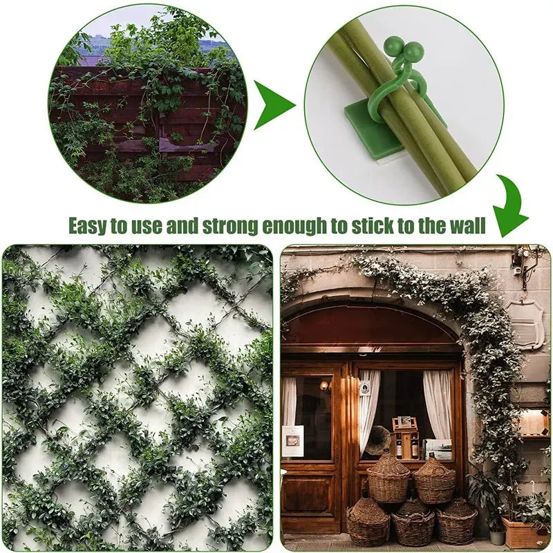 5/10/20/50Pcs Garden Accsesories Plant Garden Pots & Planters Climbing Wall Outdoor Decors Lamp Support for Plants Clip Vine