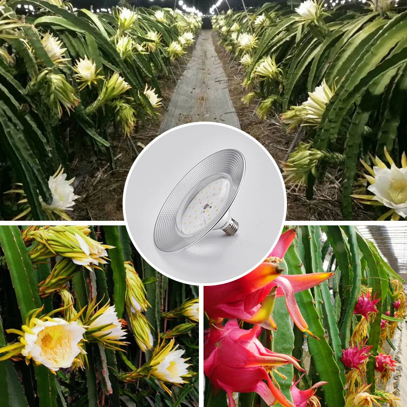 LED Grow Light 18W AC85-265V Full Spectrum E27 Sunlike Phytolamp Bulb Plants Flower Greenhouse Tent Hydroponic Plant Growth Lamp