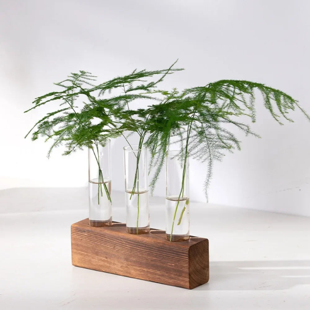 3/5 Tubes Wall Hanging Hydroponic Plant Propagation Glass Vase with Wooden Stand Desktop for Home Office Planter Garde Decor