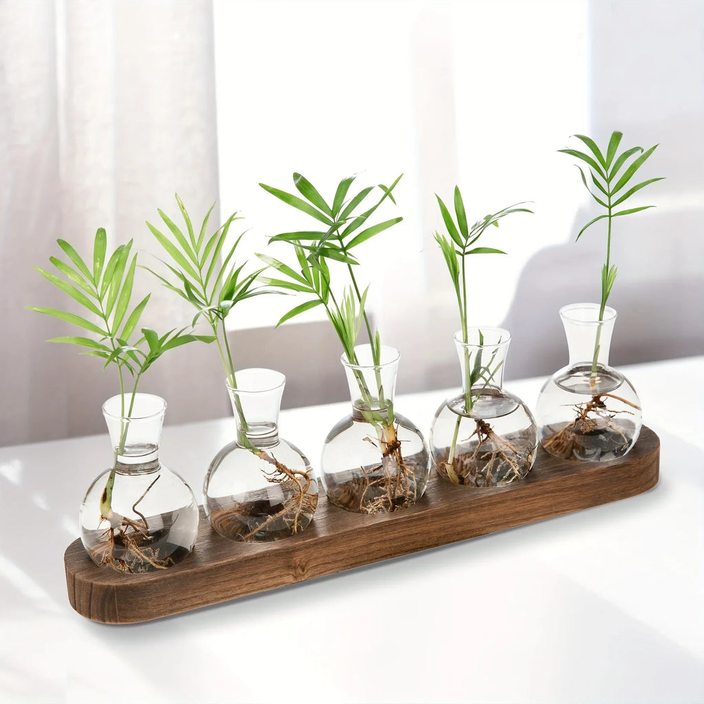Glass Terrarium for Plants with Wooden Tray – For indoor propagation hydroponic vase，Desktop Home Office Decoration