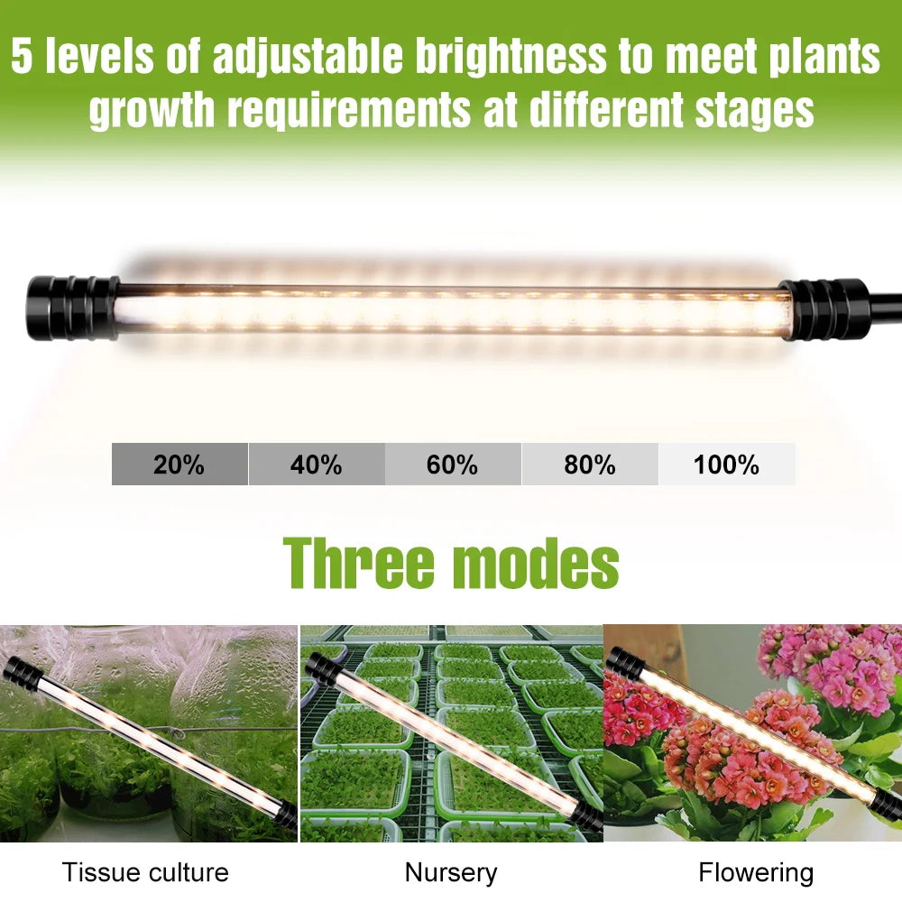 LED Grow Light Plant Hydroponic Flower Seedling Vegetable Cultivation Timing Auto On/Off Dimmable For Indoor Growth Box USB DC5V