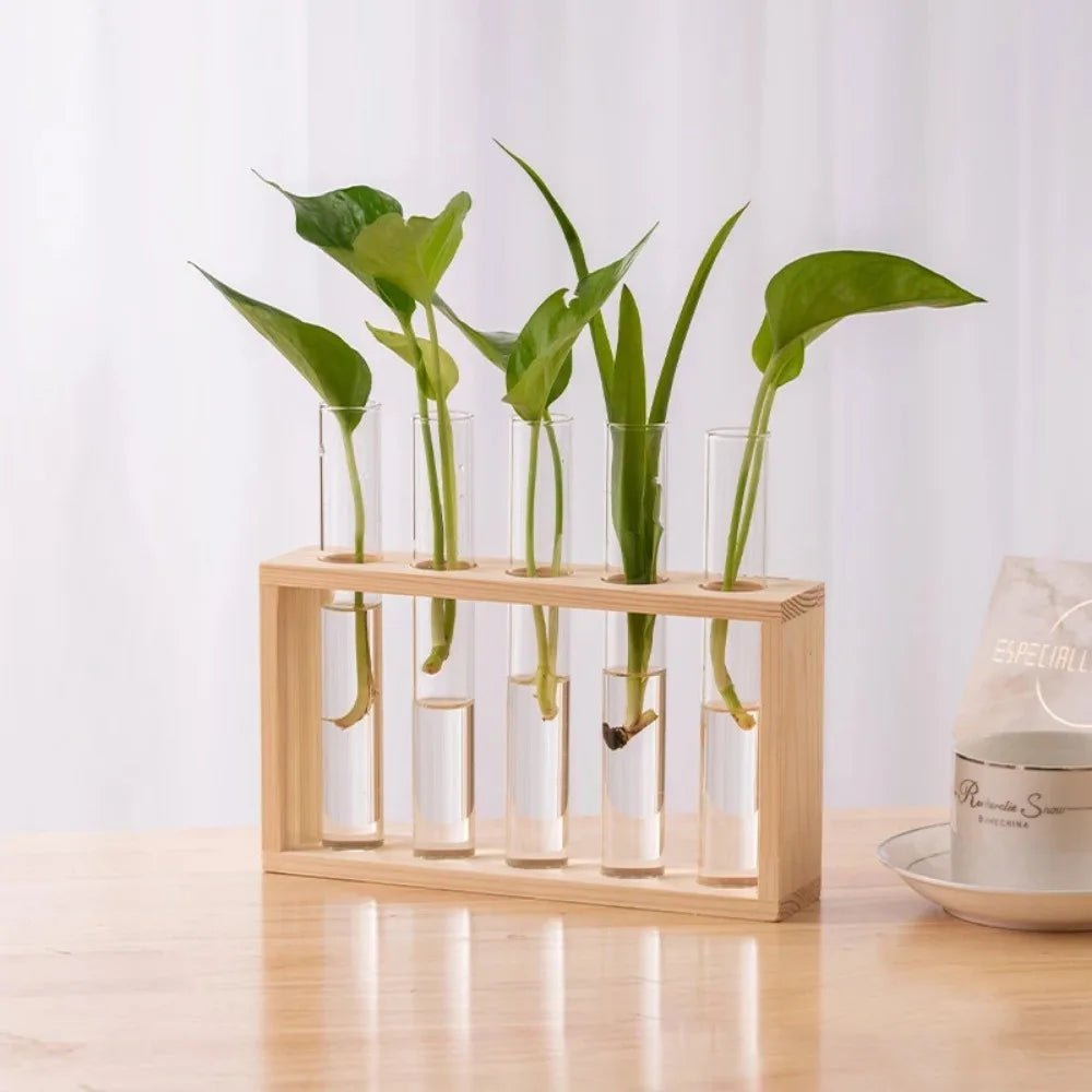 3/5 Tubes Wall Hanging Hydroponic Plant Propagation Glass Vase with Wooden Stand Desktop for Home Office Planter Garde Decor