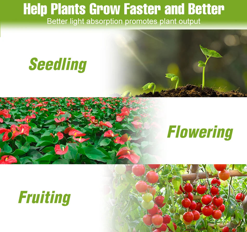 LED Grow Light Plant Hydroponic Flower Seedling Vegetable Cultivation Timing Auto On/Off Dimmable For Indoor Growth Box USB DC5V