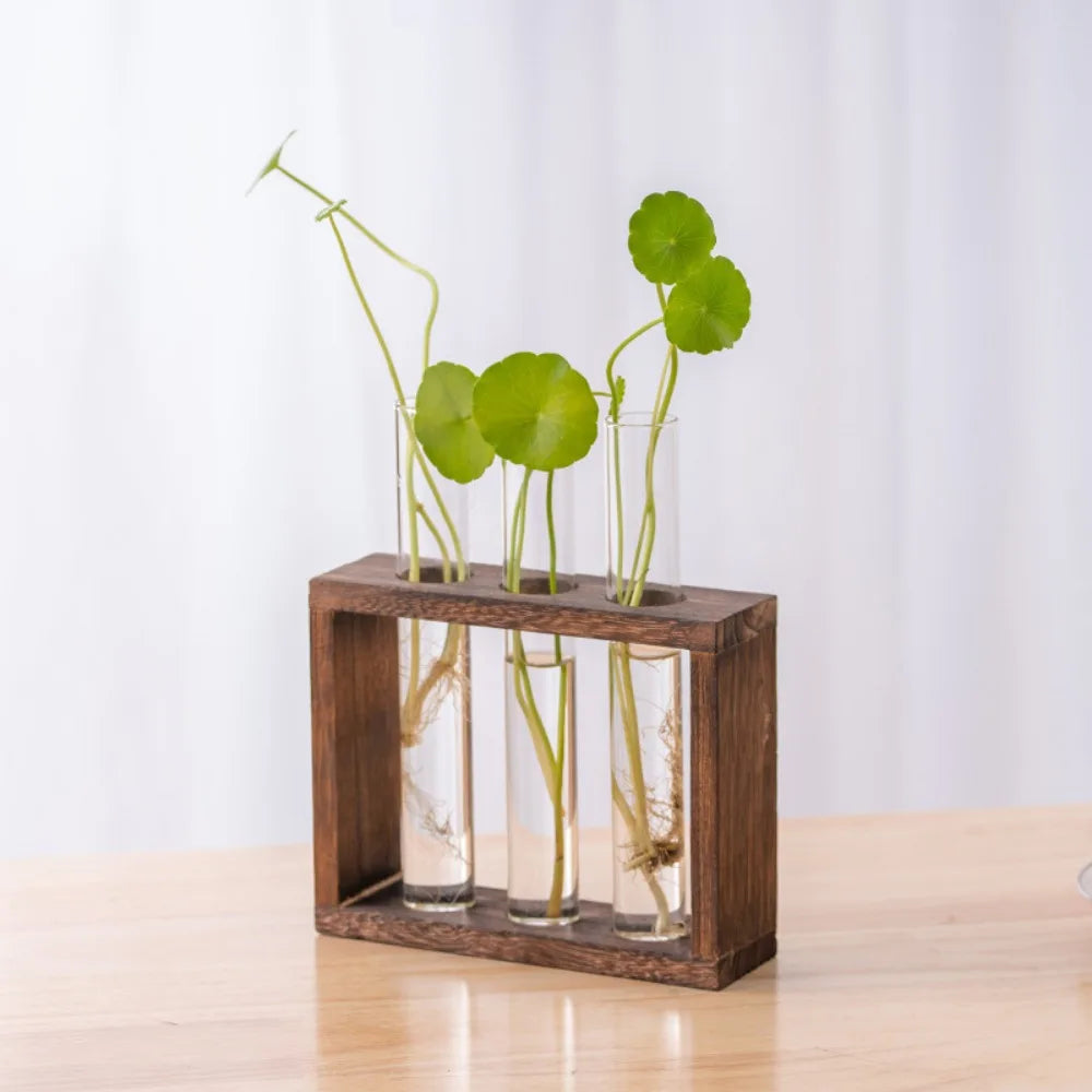3/5 Tubes Wall Hanging Hydroponic Plant Propagation Glass Vase with Wooden Stand Desktop for Home Office Planter Garde Decor
