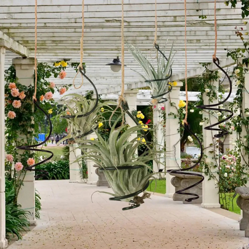 6 Pcs Air Plant Holder Metal Hanging Tillandsia Container Adjustable Swirl Air Plant Holder for Home Office Balcony Garden Decor