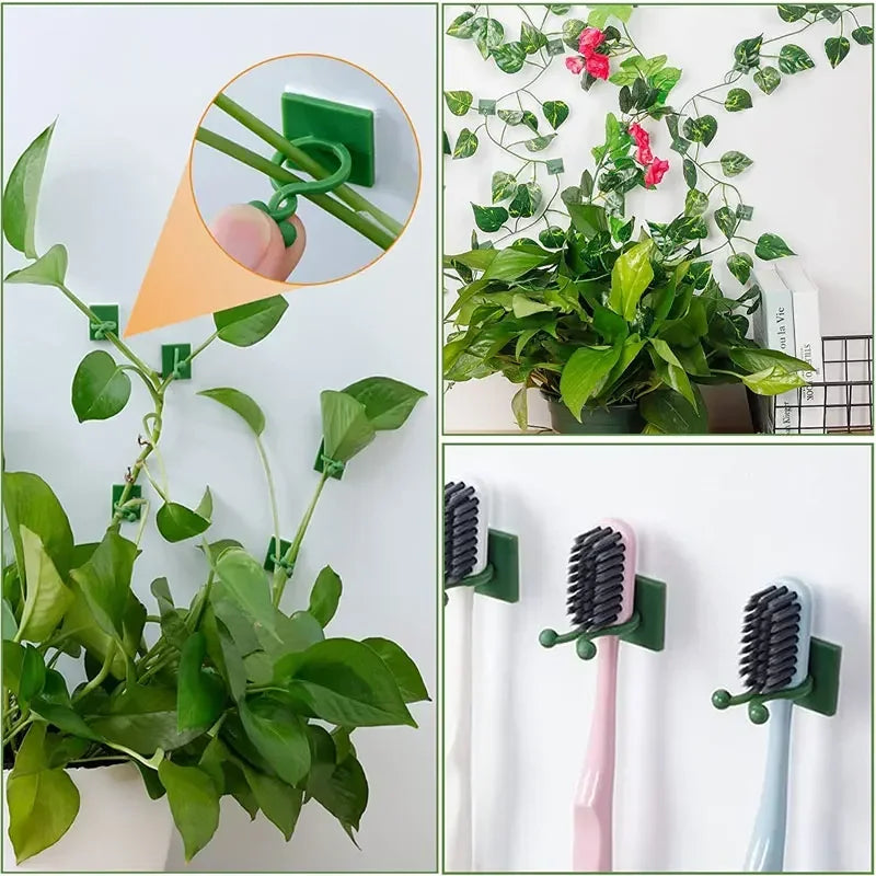 5/10/20/50Pcs Garden Accsesories Plant Garden Pots & Planters Climbing Wall Outdoor Decors Lamp Support for Plants Clip Vine