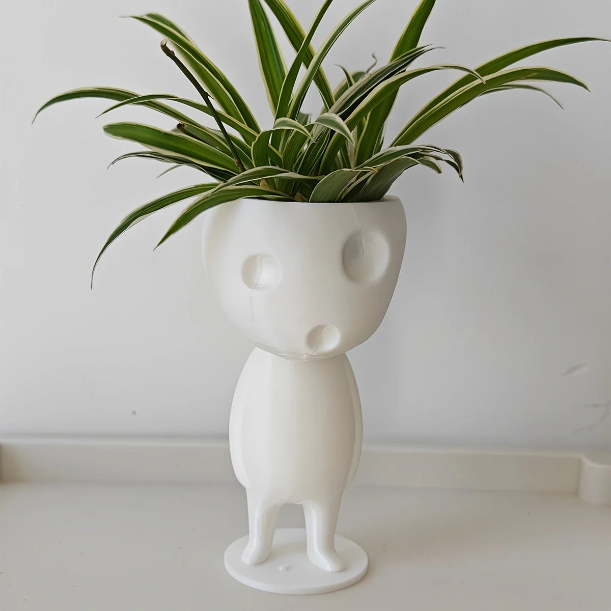 3D technology printing decorative ornaments, very creative and interesting succulent planting pots, creative succulent planting