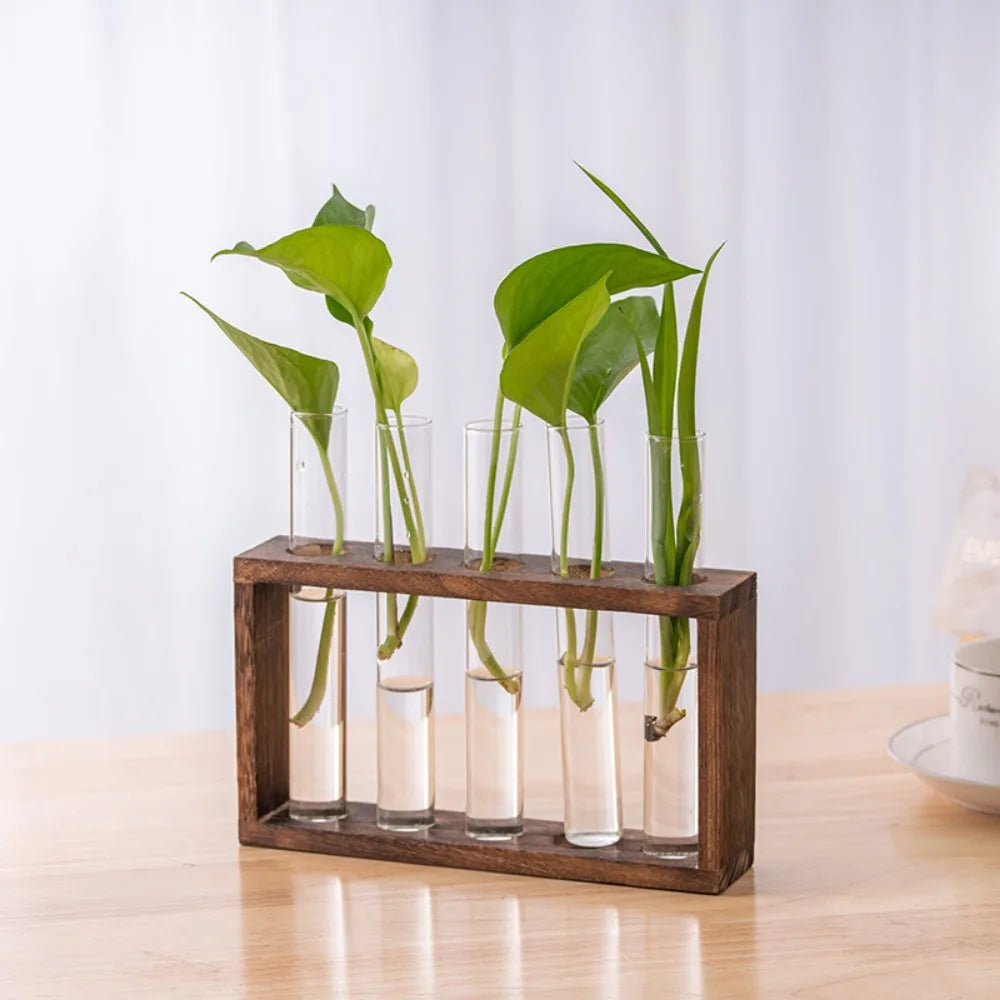 3/5 Tubes Wall Hanging Hydroponic Plant Propagation Glass Vase with Wooden Stand Desktop for Home Office Planter Garde Decor