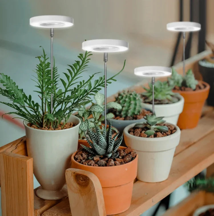 LED Grow Light Full Spectrum Plant Growth Light USB 5V Height Adjustable Dimmable Growing Lamp with Timer for Indoor Plants Herb