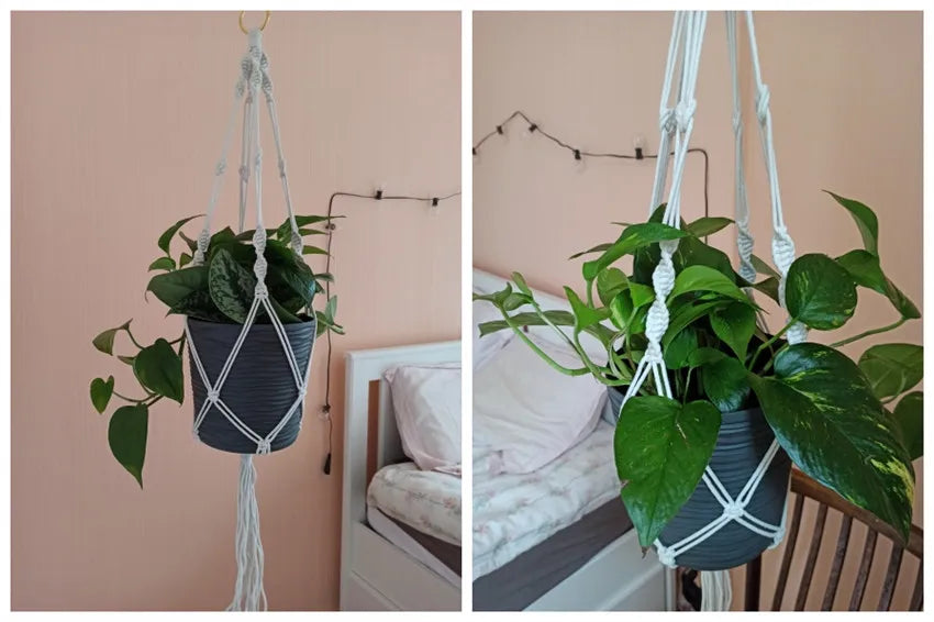 Hanging Plant Handmade Macrame Plant Hanger Flower Pot Planter Hanger Wall Decor Courtyard Garden Hanging Planter Hanging Basket