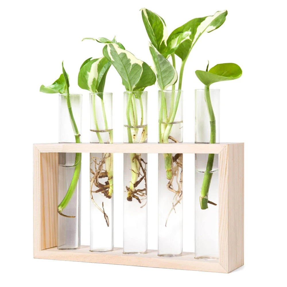 3/5 Tubes Wall Hanging Hydroponic Plant Propagation Glass Vase with Wooden Stand Desktop for Home Office Planter Garde Decor