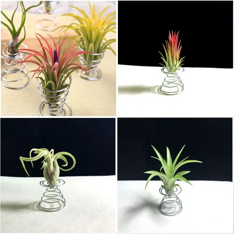 20 Pcs Air Plant Container Tillandsia Holder for Displaying Air Plant Durable Wide Range of Usage DIY Home Decor Gift