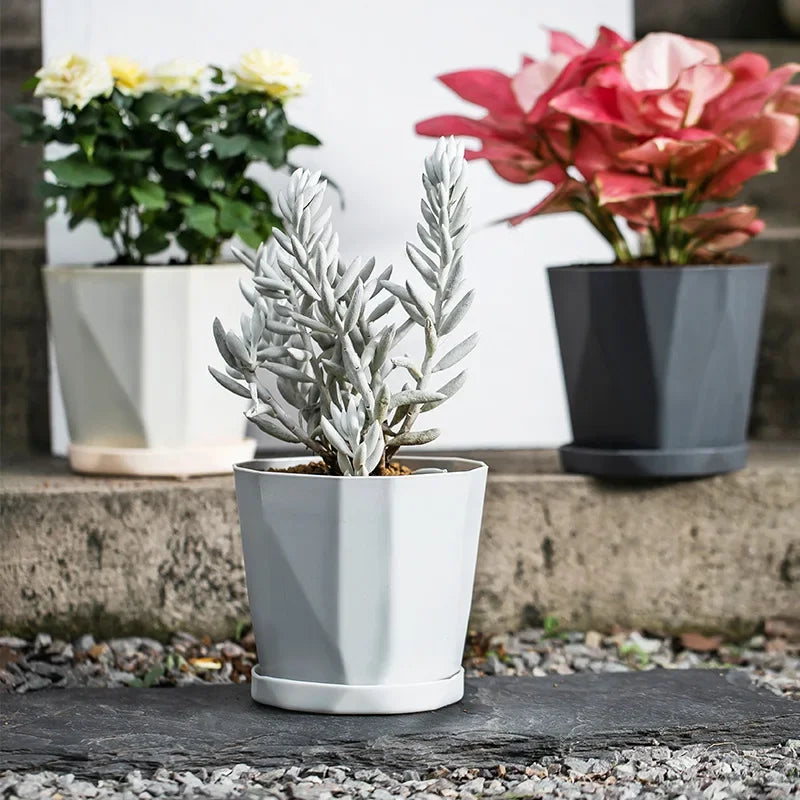 Plastic Flower Pots for Indoor and Outdoor, Large-Diameter Flower Pots, Succulent Plants, Green Plants