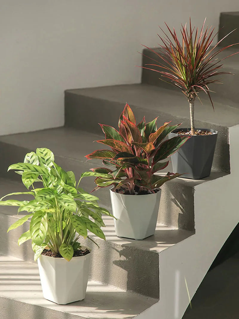 Plastic Flower Pots for Indoor and Outdoor, Large-Diameter Flower Pots, Succulent Plants, Green Plants