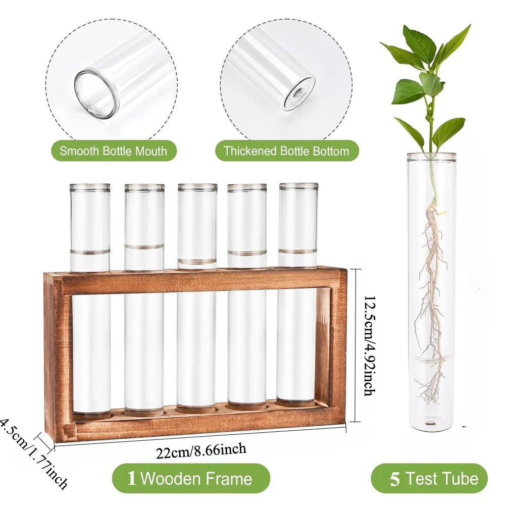 3/5 Tubes Wall Hanging Hydroponic Plant Propagation Glass Vase with Wooden Stand Desktop for Home Office Planter Garde Decor
