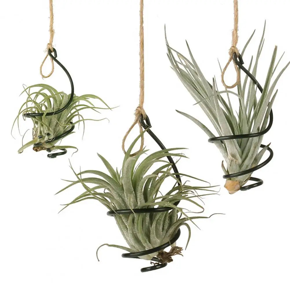 6 Pcs Air Plant Holder Metal Hanging Tillandsia Container Adjustable Swirl Air Plant Holder for Home Office Balcony Garden Decor