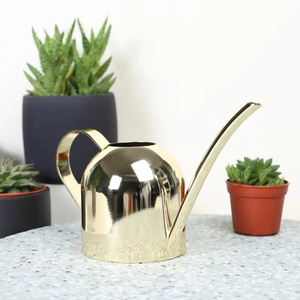 500ML Bonsai Plant Flower Watering Can Watering Pot Long Spout Garden Plant Flower Water Can Regadera Plantas Лейка Для Цветов