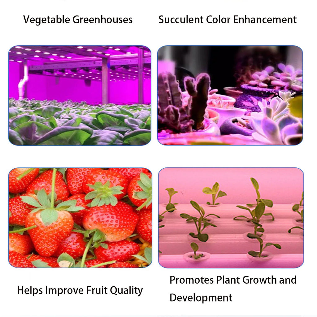 50/80/100/150W Phyto Lamp Full Spectrum LED Grow Light E27 Plant Lights Fitolamp For Indoor Seedlings Flower Grow Tent GrowBox