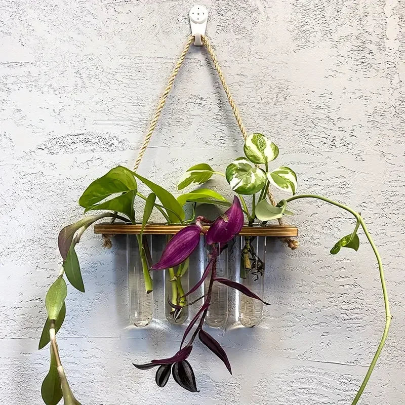 1pc Wall Hanging Propagation Station With Glass Test Tubes 1/2 Tiered Planters Wall Terrarium For Home Office Plant Hanger Flowe